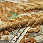 Зерновая сделка на грани срыва