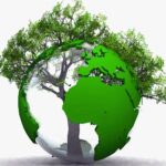 Экологическая политика Франции