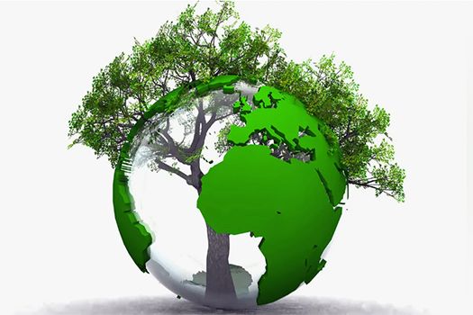 Международное экологическое право; yandex.ru