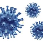 Основные характеристики вакцины от папилломавируса во Франции