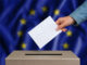 Выборы в Европарламент;yandex.ru